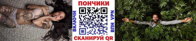 Бошки марихуана тримм  хочу наркоту  mega ссылка  Старая Русса 